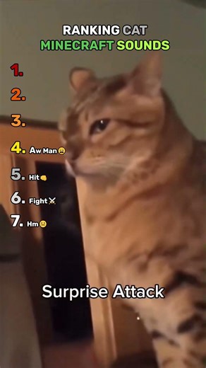 Ranking Minecraft Cat Sounds 🐱 | Gaming Moments #shorts #viral