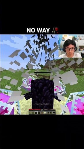 Minecraft Ender Dragon Axolotl Moment