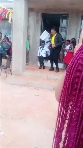 Understanding Modimo Insights for Creators