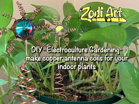 DIY: Electroculture gardening- make copper antenna coils for your indoor plants