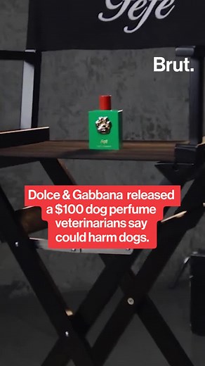 Dolce & Gabbana released a $100 dog perfume many veterinarians and animal rights activists warn could be harmful to dogs.