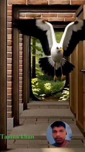 Viral Alien Short Part 236 Dame Tu Cosita Funny Color Comedy