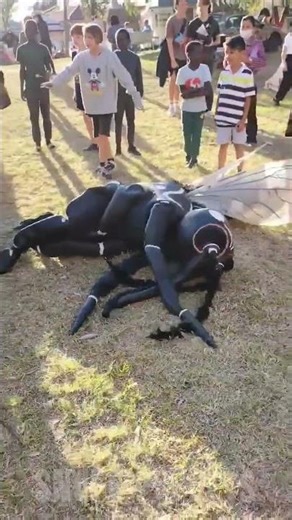 🦟 Giant Mozzie & Cane Toad fight! #downunder