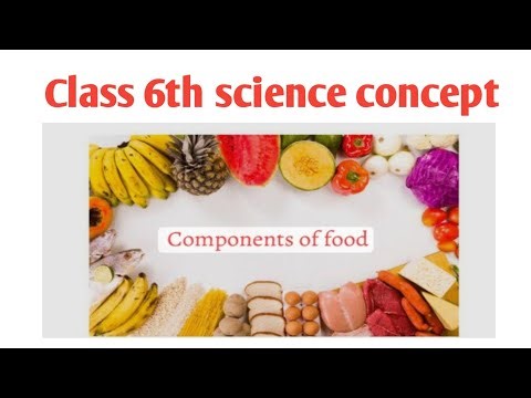 Class 6th science concept different food components (2025) by chandan sir