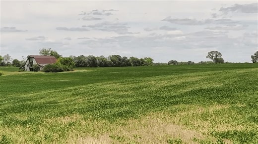 Federal farm aid offers relief as deeper pressures remain for Middle TN farmers