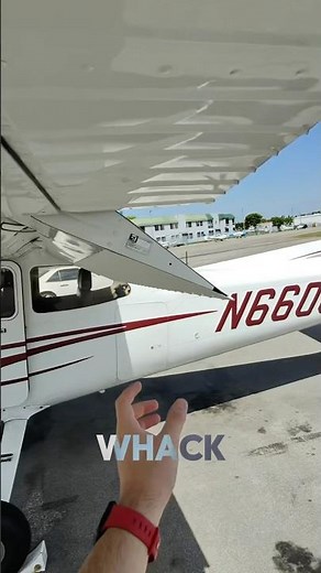 Cessna 172 (Primary & Secondary Controls)