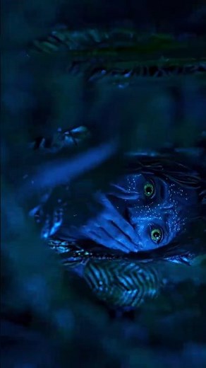 Avatar 8K Ultra HD | Epic Battle Scene | Pandora Warriors Fight Back | Hollywood Action Short