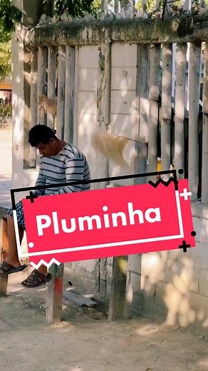 Pluminha #pegadinhas #risada #videosengracados #brincadeira #comedia #humor #kkkk #fyp #prank