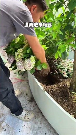 Create your own private balcony garden #SpaceDesign #gardendesign #garden #plants