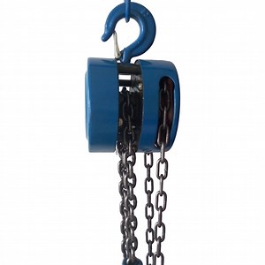 [Hot Item] 1/5 Cheap Hsz Series 500kg 1000kg 2 Ton 2.5 Ton 5 Ton Manual Hand Chain Hoist Block