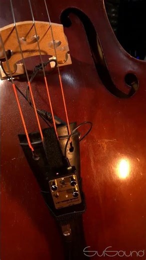 Upright Bass — SviSound Pickup + BassVoice
