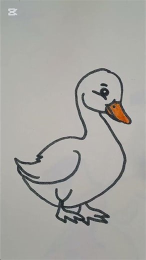 🦆 Cute Little Duck