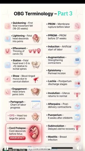 OBG terminology 🥰#medicaleducation