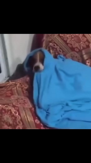 9.6K views · 171 reactions | Me right now..! | Text Me | Facebook