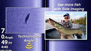 10K views · 56 reactions | In Humminbird Side Imaging, fish appear as...