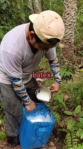 41K views · 303 reactions | Latex Collection #katappers #rubberlatex #adsonreelsinvitation #algorithm #reelsviralシfb #highlights #NeoUgay | Neo Ugay | Facebook