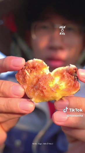 Trồng và Hái Sung Mỹ Tại Vườn Nhà