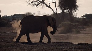 13K views · 215 reactions | Take a good look and feel the African safari through the eyes of the incredibly talented filmmaker Dan Lior. A beautifully delivered film with a powerful song from Artlist.io. Link to the song: https://goo.gl/sWVJCw | Artlist.io | Facebook