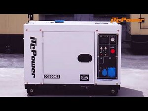 Portable diesel generator display