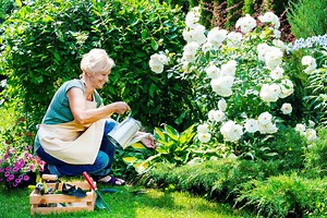 Say goodbye to wasps, these 6 plants will help keep them away from your garden - Netmums