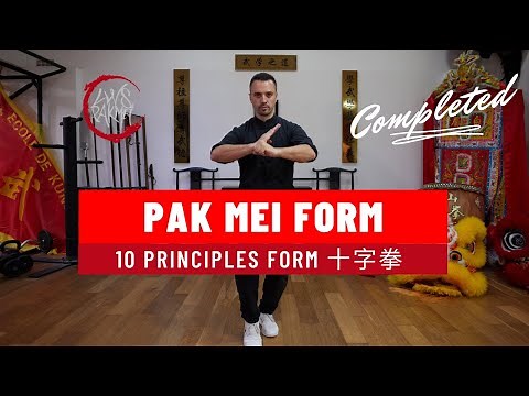 Pak Mei Kung Fu| 10 principles Form | 十字拳