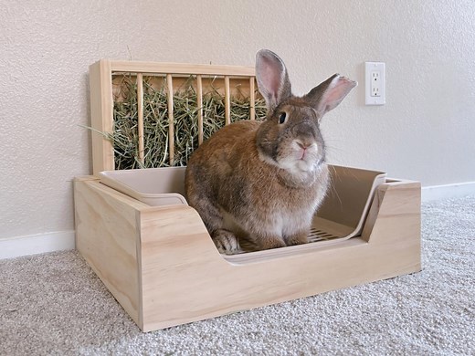 Rabbit Litter Box Wooden Feeder, Bunny Premium Large Hay Feeder - Etsy