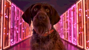 This Google Stadia Ad Is So Random (And Terrible)