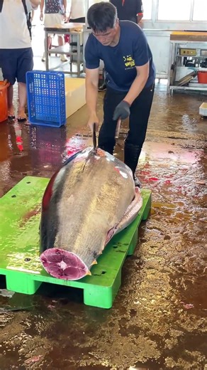 watch the iconic bluefin master reveal his razor-sharp cutting technique#bluefintuna #taiwanmarket