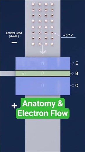 This Is How BJT Transistors Really Work | Anatomy & Electron Flow Explained #engineering #shorts