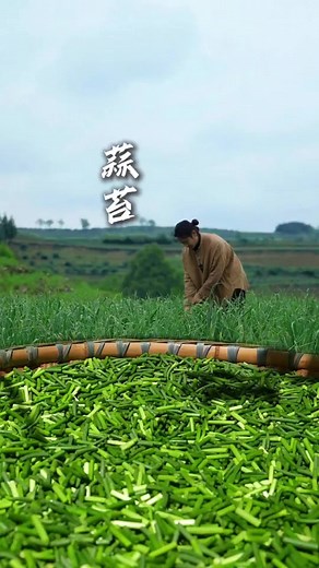 Discover the Nature of China: A Journey Through Beauty