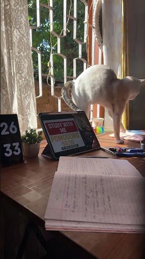 POMODORO 50:10 | 📚 Study With Me Live