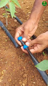 332K views · 2.3K reactions | Drip irrigation leak repair ✅ #dripsystem | Trending Vivasaayi | Facebook