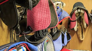 How to sell your unwanted horse kit online