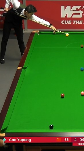 356K views · 1.5K reactions | Escapology. | WST | Facebook