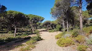 Strandritt Andalusien Spanien, Reiterferien am Meer