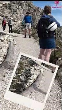 ✨ 이탈리아 돌로미테 6월 3째주 눈 덮인 산맥 | 알프스 트레킹 여행 #제이에스투어 #travel #trekking