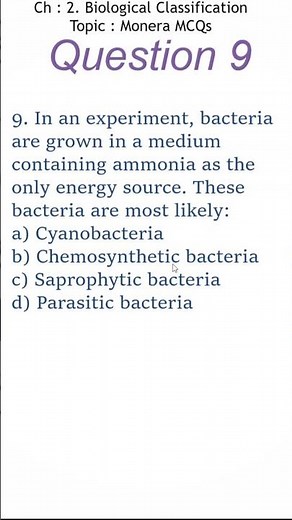 Kingdom Monera MCQs | Biological Classification | Class 11 Biology | CBSE & NEET Practice #6
