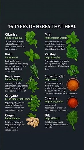 16 Types of Healing Herbs and Their Benefits | Natural Remedies for Common Ailments 🌿✨