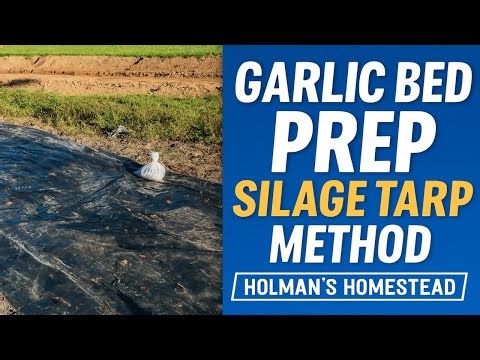 Garlic Bed Preparation | Silage Tarp Method for Healthy, Weed-Free Soil