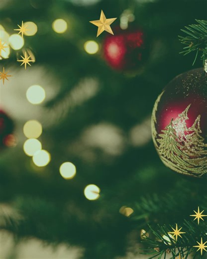 SATSE Andalucia on Instagram: "🎄En estos días de celebración, reafirmamos nuestro compromiso con quienes hacéis posible una atención sanitaria con excelencia: #enfermeras/os, especialistas y #fisioterapeutas de Andalucía. 🌟 Seguimos dignificando la profesión y defendiendo vuestros derechos. ¡Felices fiestas!"