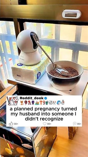 A Planned Pregnancy Turned My Husband Into a Monster 💔 | Reddit Storytime