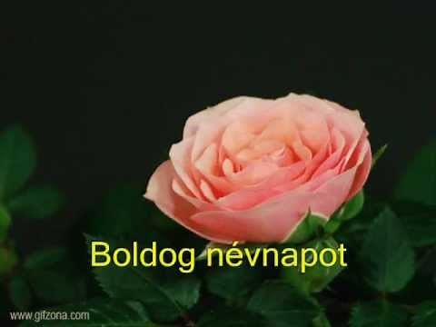 Zenés Névnapi Köszöntő - Für Elise