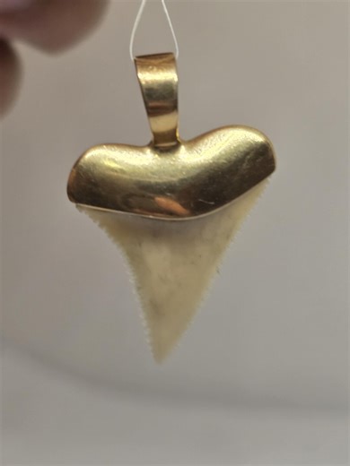 14k Solid Gold Vintage Shark Tooth Pendant / Gift for Him - Etsy