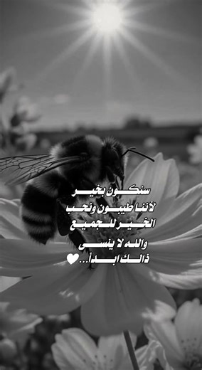 #حكمة #صبرو #اكسبلور #الخطير #لايك #دويتو #ورك #ستوريات #شعر #اقتباسات #تصميمي #حالات_واتس #الرحمن