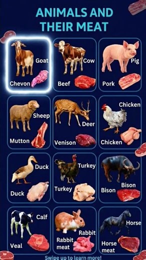 Do you know what these meats are called? 🥩🤔 Let's learn!