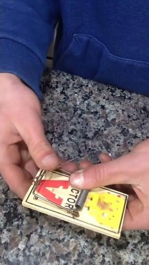 How to set a mouse trap