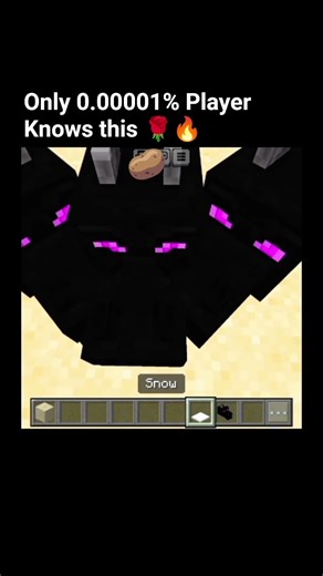 Only 0.00001% Players Know This Trick in Minecraft! 🤯