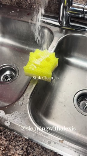 Sink Clean with Ajax, Dawn, and Pine-Sol