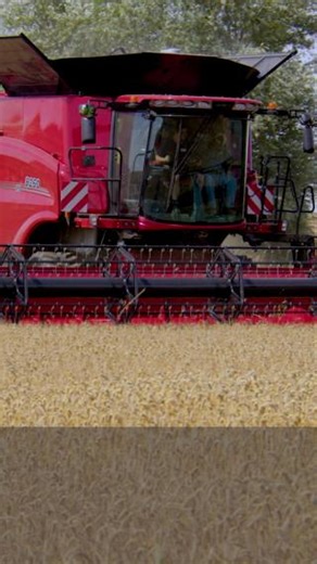 2.7K views · 112 reactions | From April to October, all our services are enhanced to allow your Case IH Dealer to provide you with maximum support 24/7. You can harvest with peace of mind while we take care of your machines! Trust our MAX SERVICE, active 24/7 throughout the season to keep downtime to a minimum! | CASE IH | Facebook