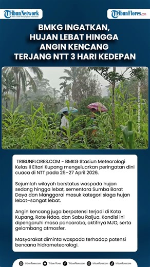 BMKG Ingatkan, Hujan Lebat hingga Angin Kencang Terjang NTT 3 Hari Kedepan